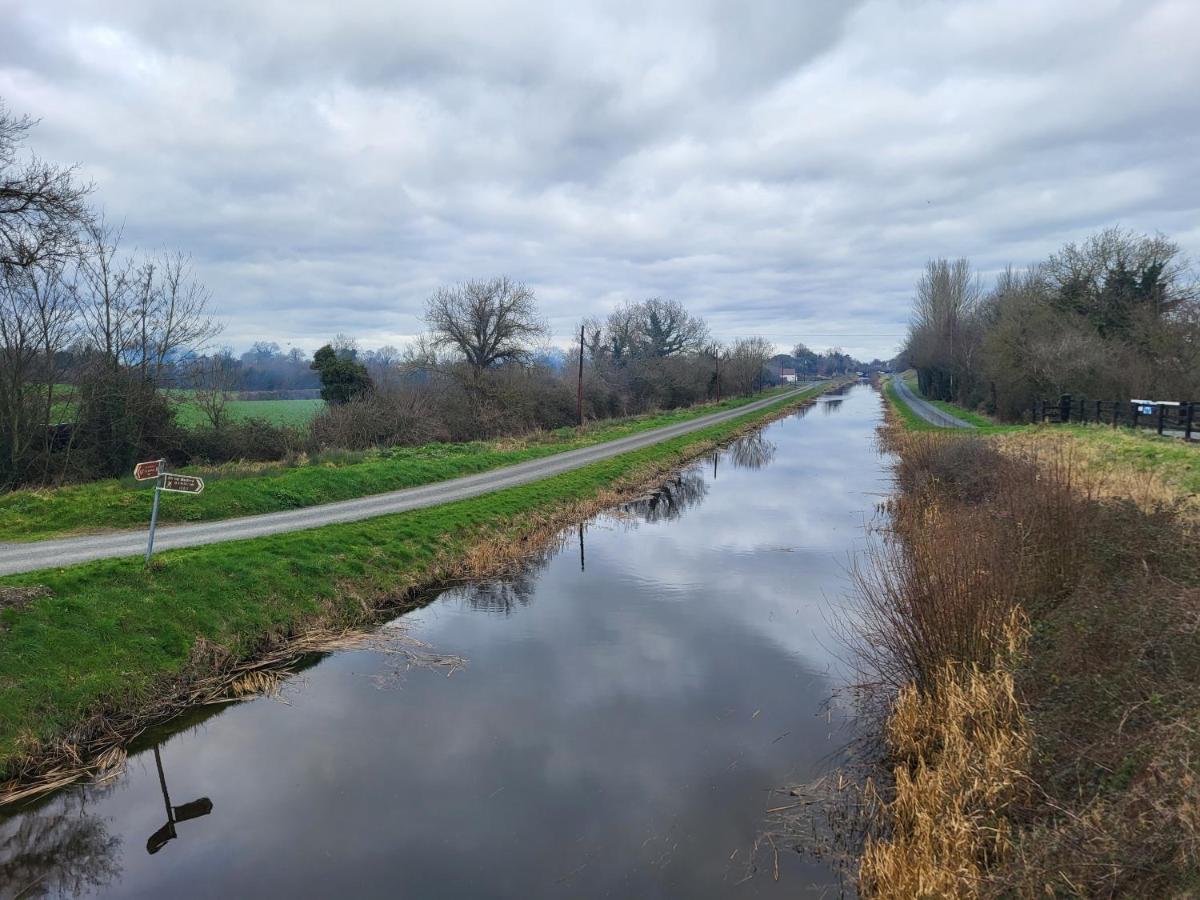 Fearmore View Kildare Zewnętrze zdjęcie